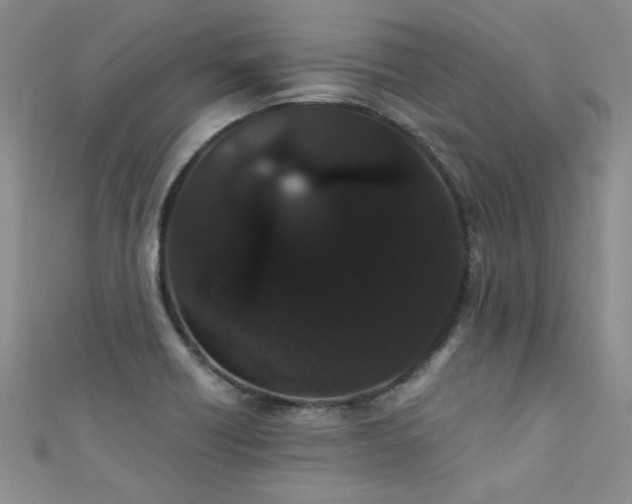 X0000111521418200907141459