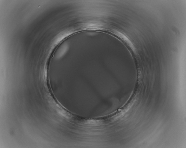 X0000111521419200907141459