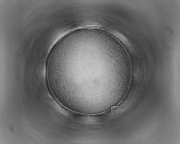 X0000111521420200907141459