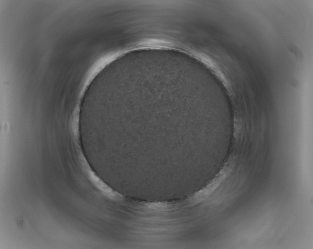 X0000111521421200907141459
