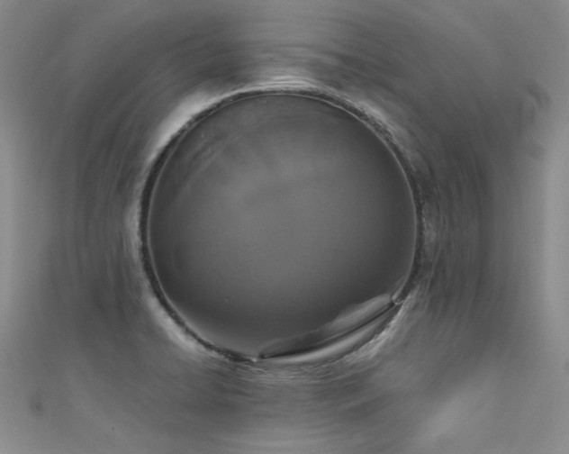 X0000111521422200907141459