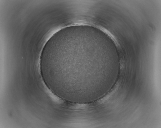 X0000111521423200907141459