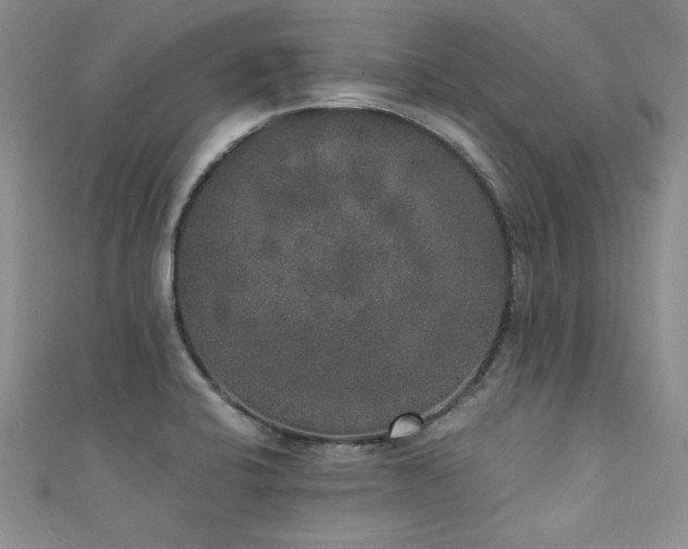 X0000111521424200907141459