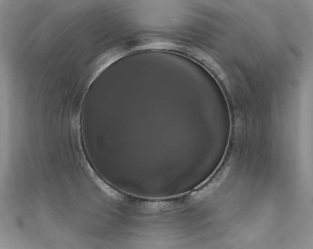 X0000111521425200907141459