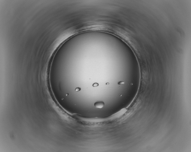 X0000111521426200907141459