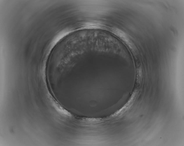 X0000111521427200907141459
