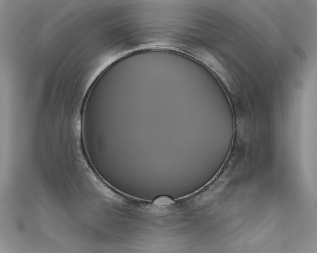 X0000111521428200907141459
