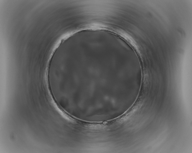 X0000111521429200907141459