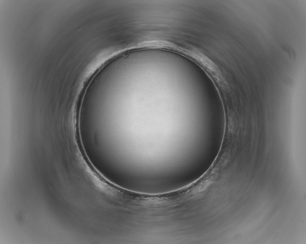 X0000111521430200907141459