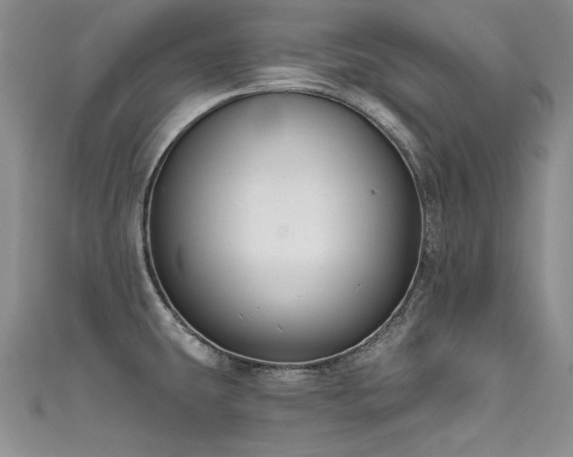 X0000111521431200907141459