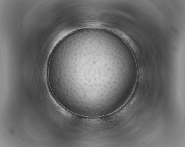 X0000111521432200907141459