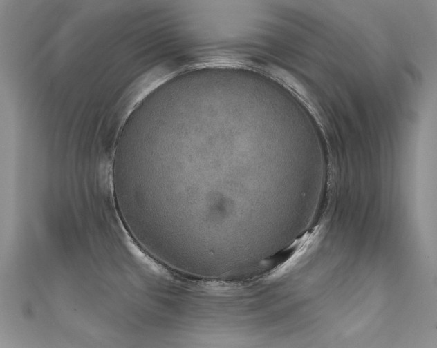 X0000111521433200907141459
