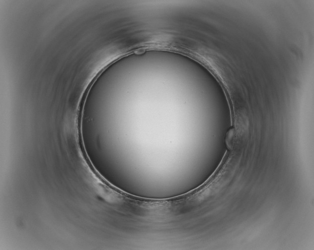 X0000111521434200907141459