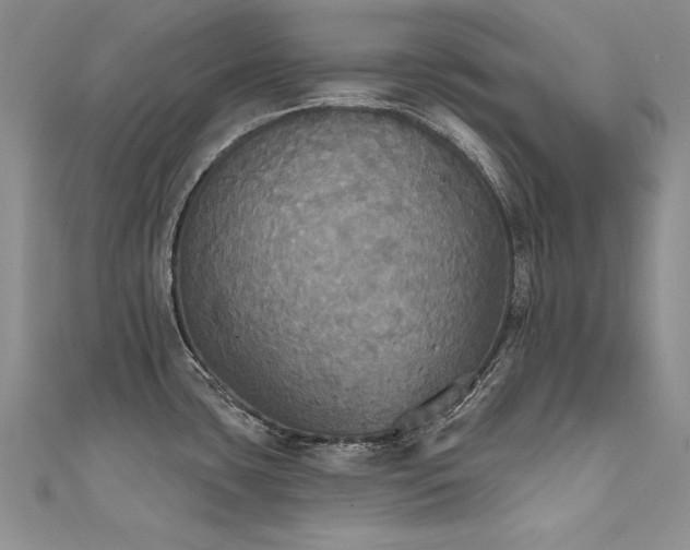 X0000111521435200907141459