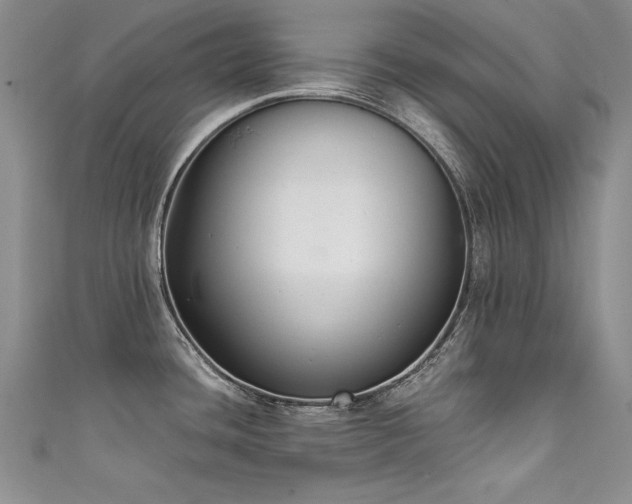 X0000111521436200907141459