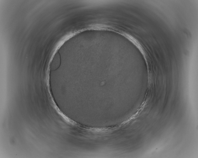 X0000111521437200907141459