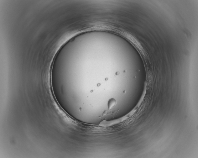 X0000111521439200907141459