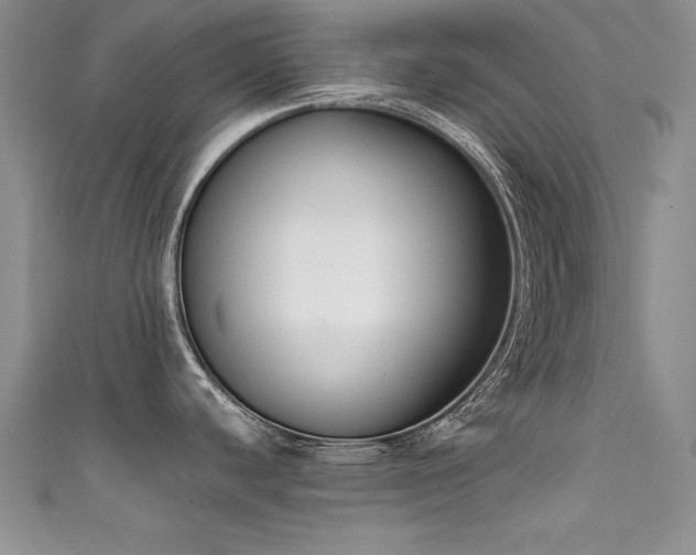 X0000111521440200907141459