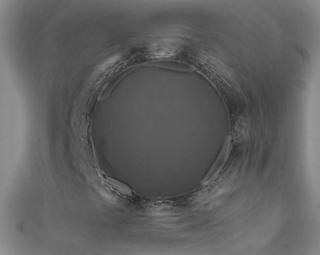 X0000111521441200907141458