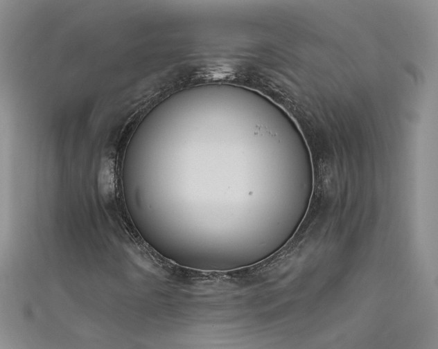 X0000111521442200907141458