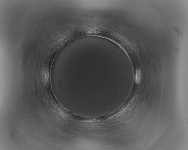 X0000111521444200907141458