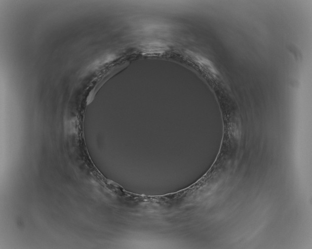 X0000111521445200907141458