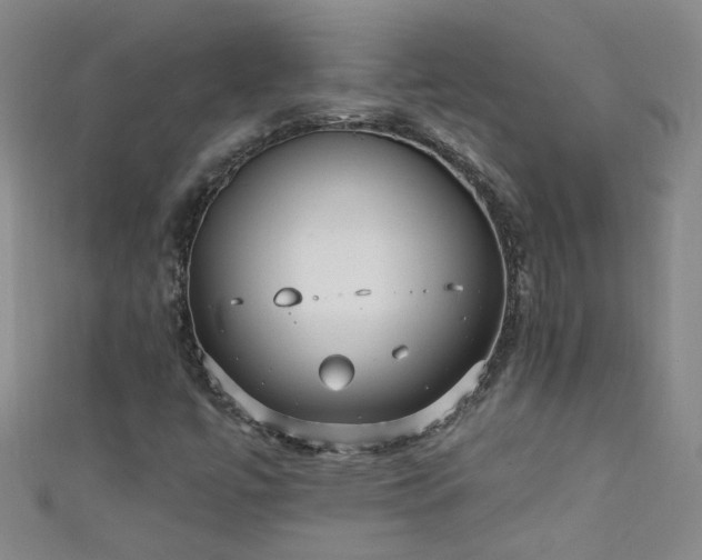 X0000111521447200907141458