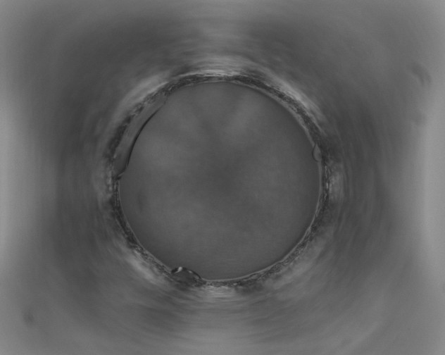 X0000111521448200907141458