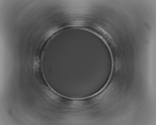 X0000111521449200907141458
