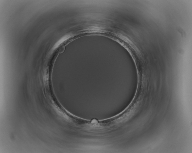 X0000111521450200907141458