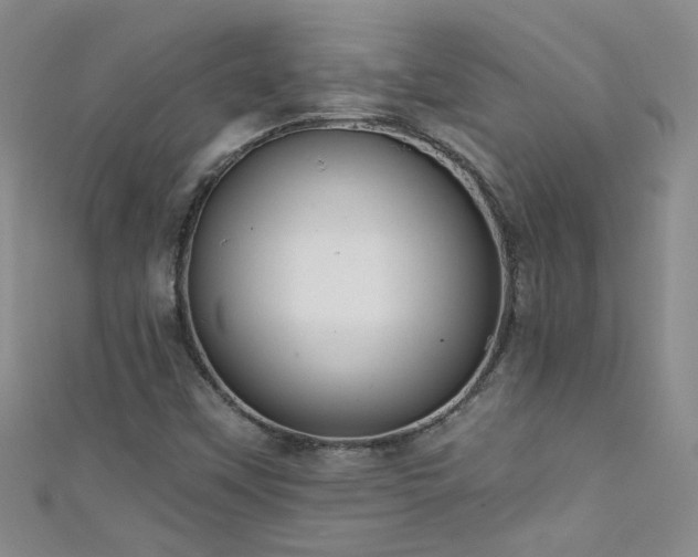 X0000111521451200907141458
