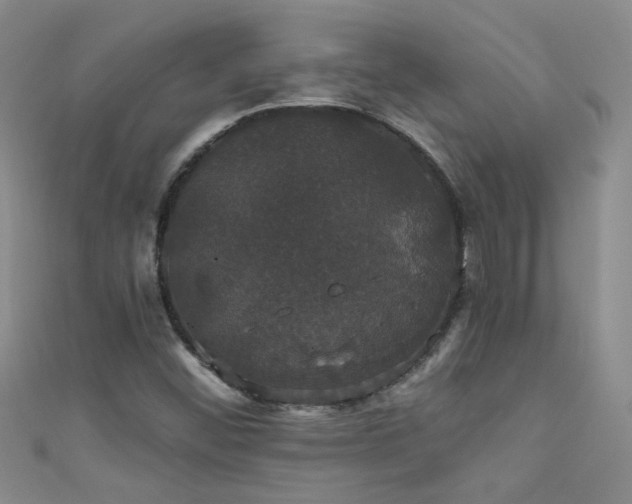 X0000111521452200907141458