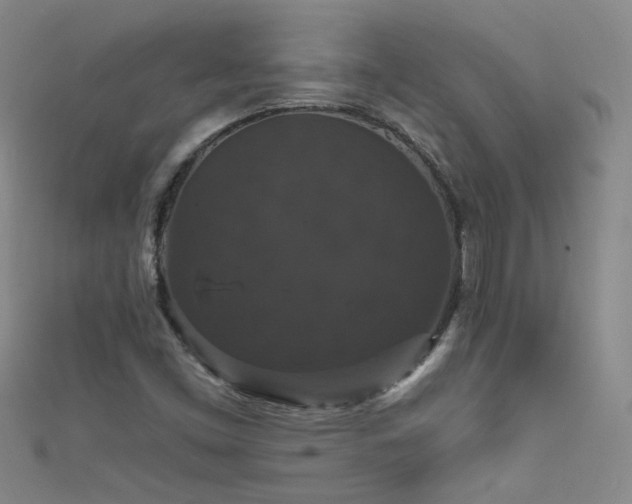 X0000111521453200907141458