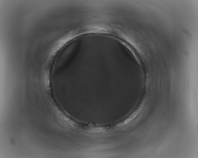 X0000111521455200907141458