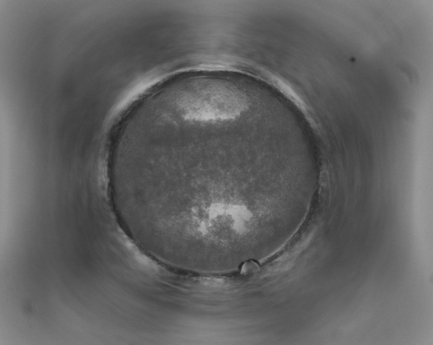 X0000111521456200907141458