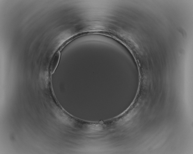 X0000111521457200907141458