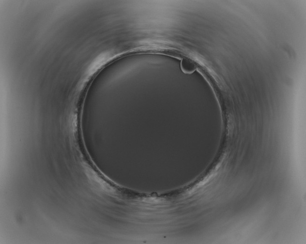 X0000111521459200907141458
