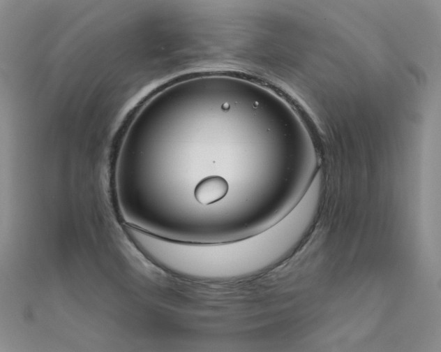 X0000111521460200907141458