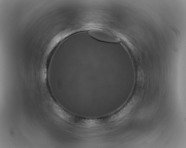 X0000111521461200907141458