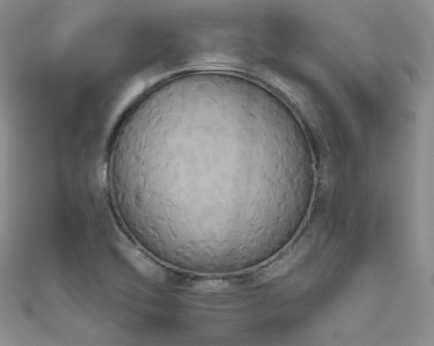 X0000111521462200907141458