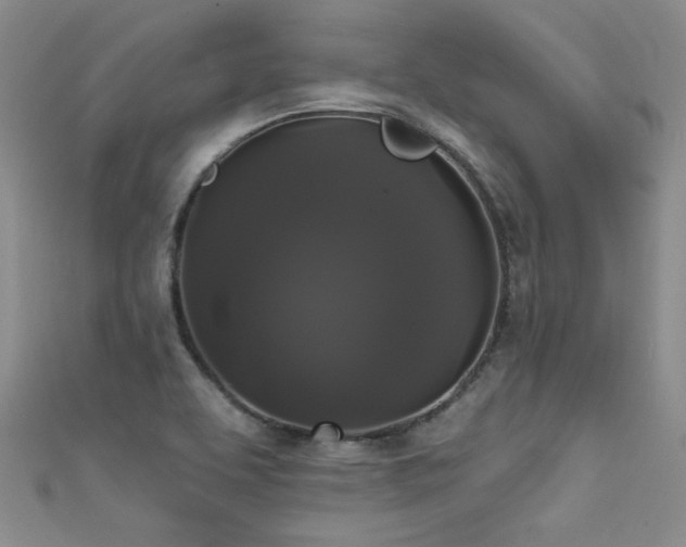 X0000111521463200907141458
