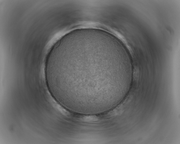 X0000111521464200907141458