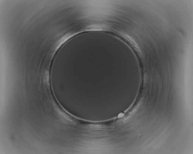 X0000111521465200907141458