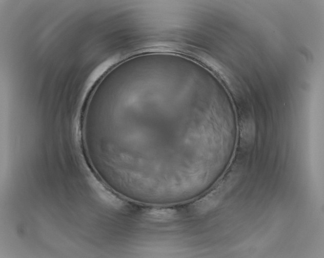 X0000111521466200907141458