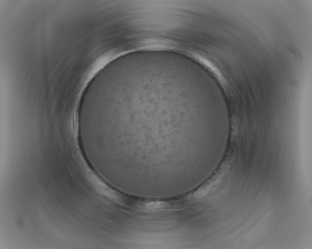 X0000111521467200907141458