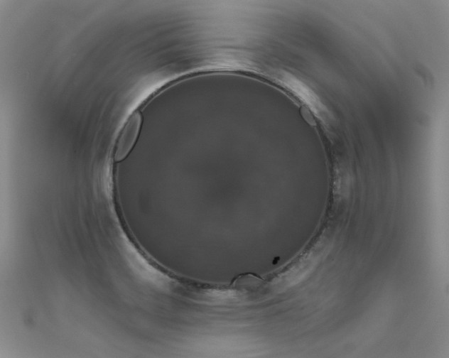 X0000111521468200907141458