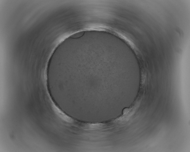 X0000111521471200907141458