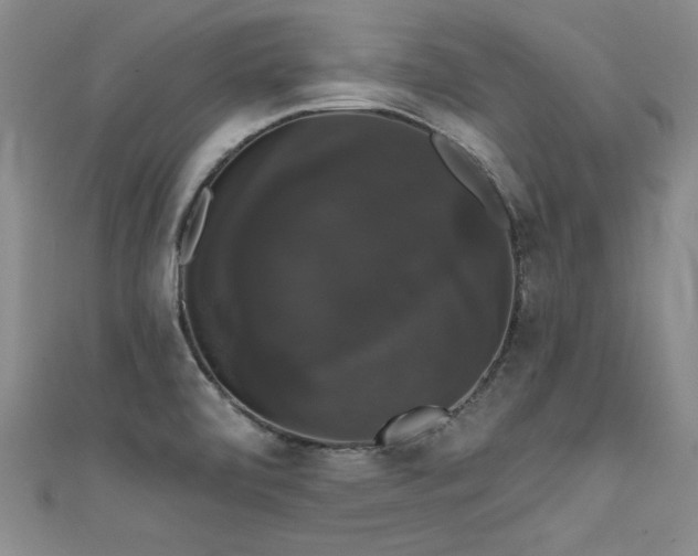 X0000111521472200907141458