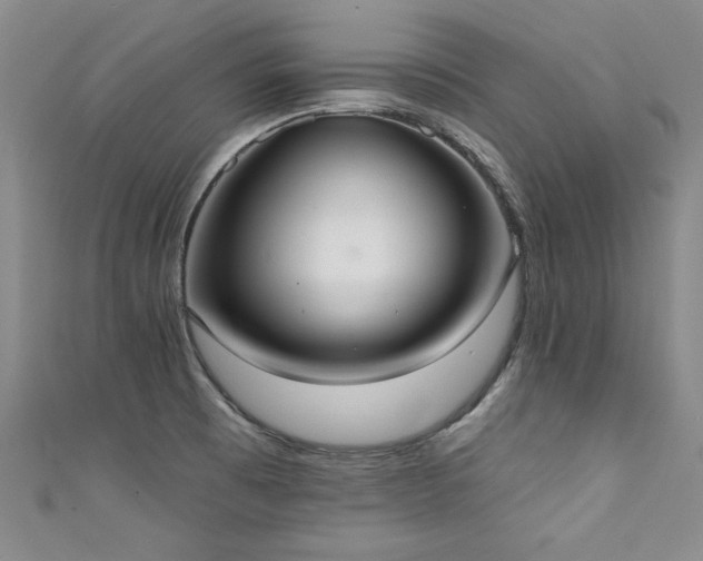 X0000111521473200907141458