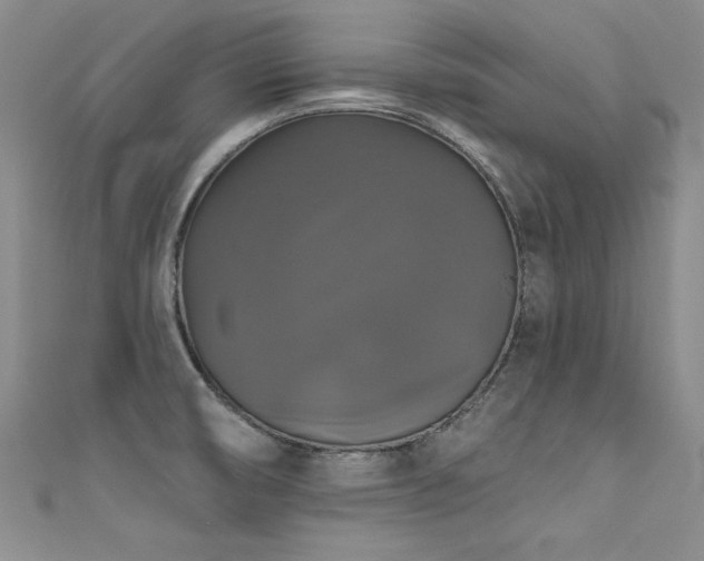 X0000111521474200907141458